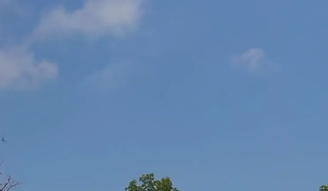 10 march — IN news