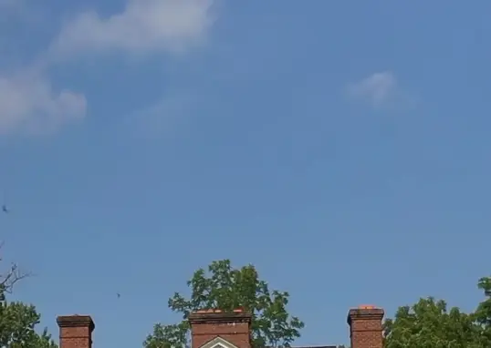 10 march — IN news