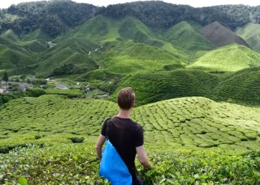 23 march holiday — IN news