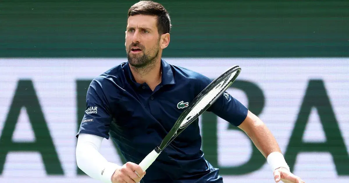 aleksandar kovacevic — IN news