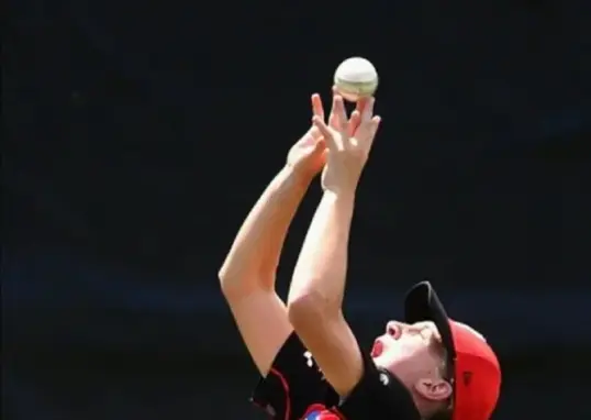 annabel sutherland — IN news