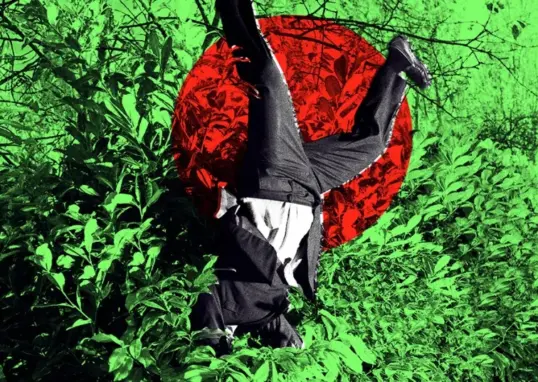 anthropic ai jobs — IN news