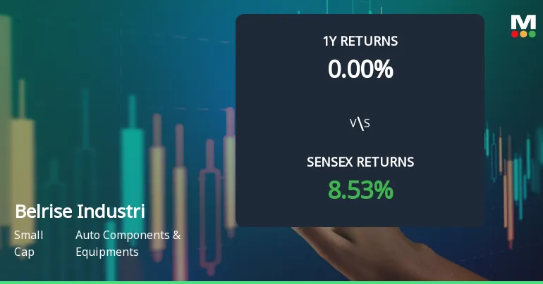 belrise share price — IN news