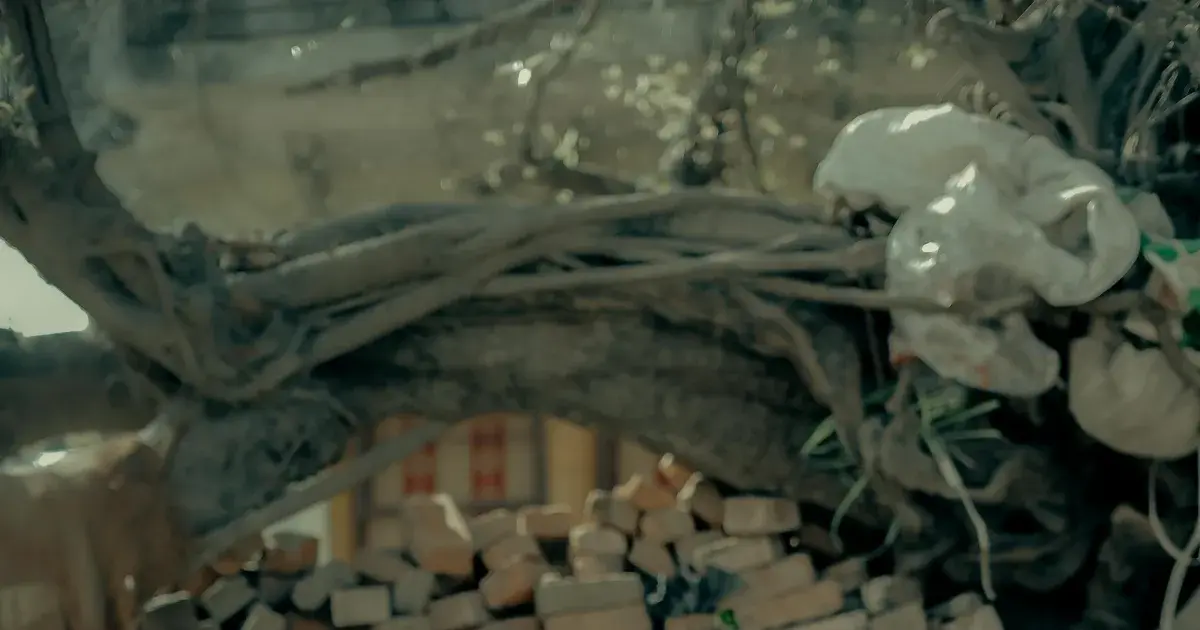 bihar daroga result — IN news