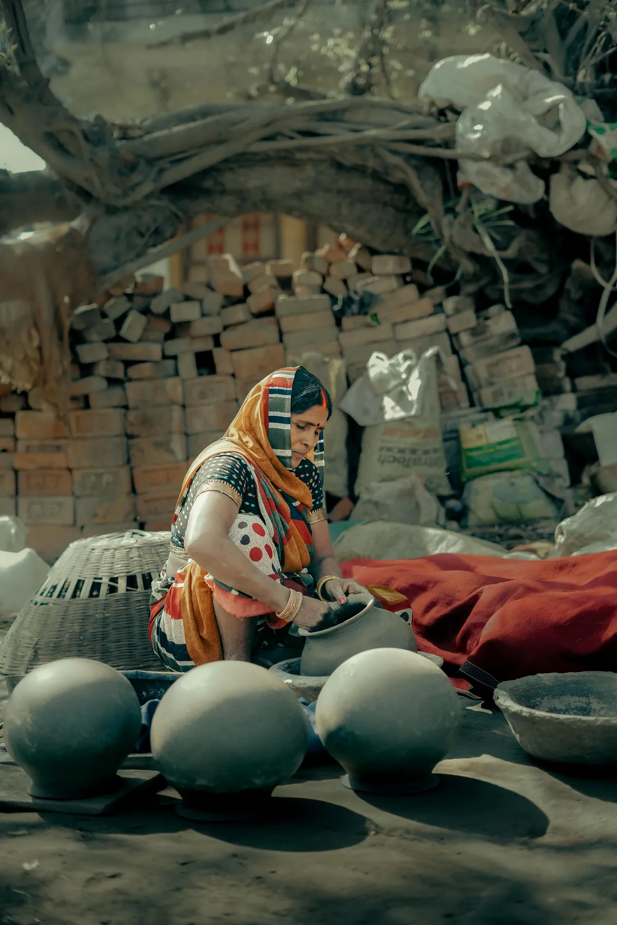 bihar daroga result — IN news