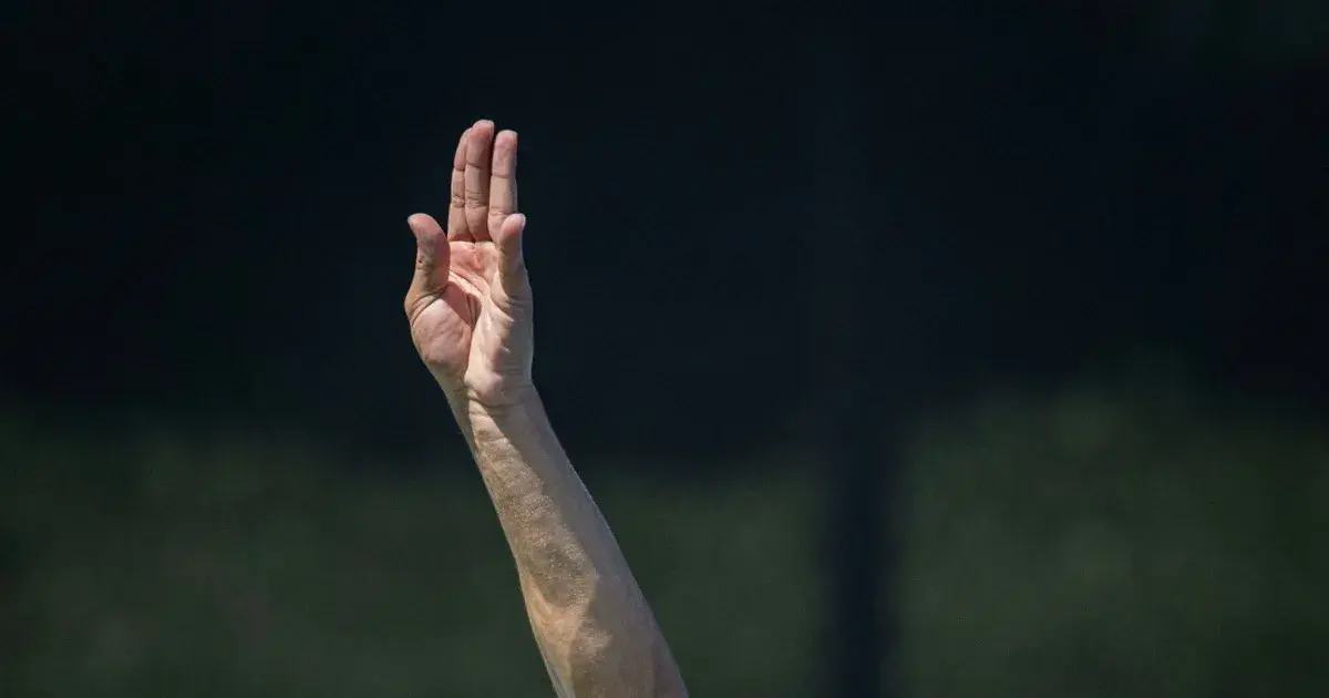 carlos alcaraz — IN news