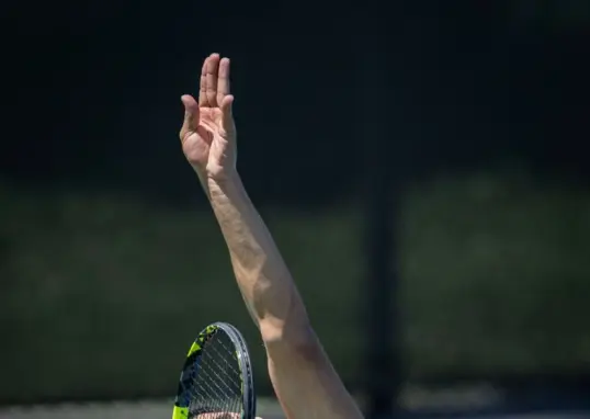 carlos alcaraz — IN news