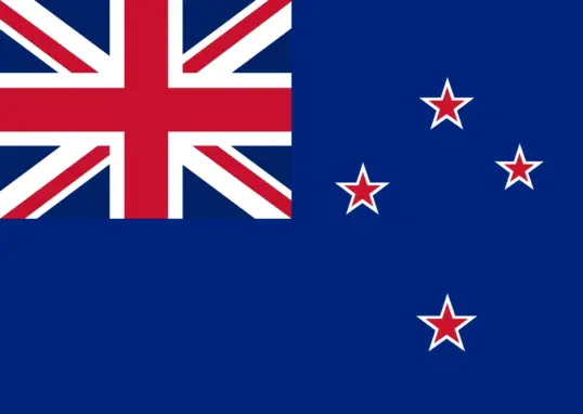 champions trophy 2025 final — IN news