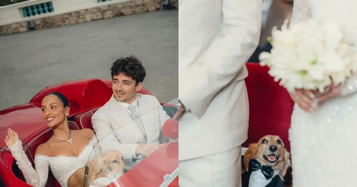 charles leclerc — IN news