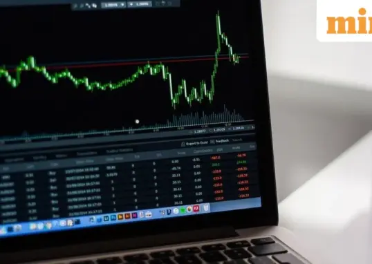 cupid share price — IN news