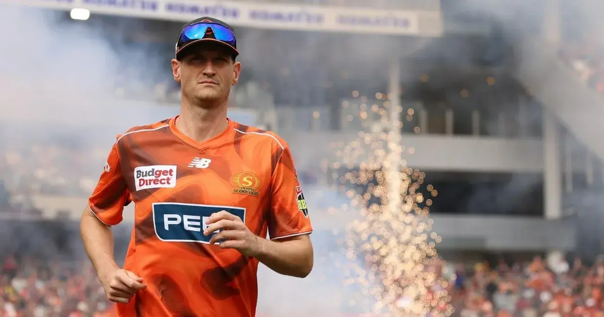 david payne — IN news