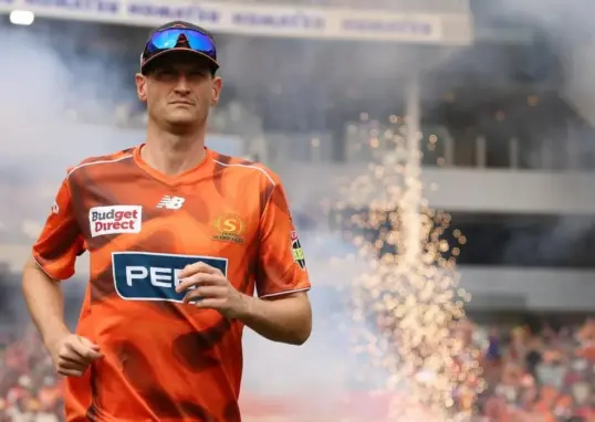 david payne — IN news