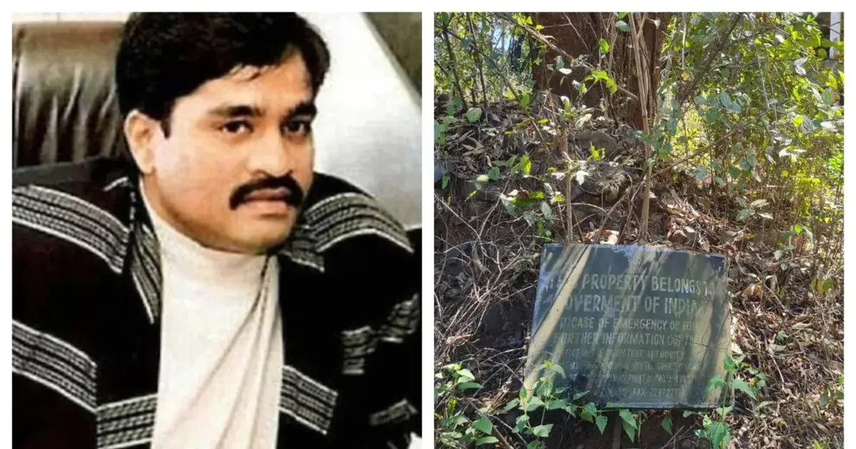 dawood — IN news