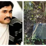 dawood — IN news