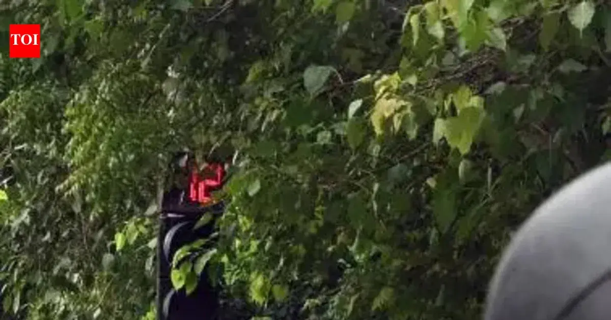 delhi traffic police — IN news