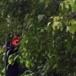 delhi traffic police — IN news