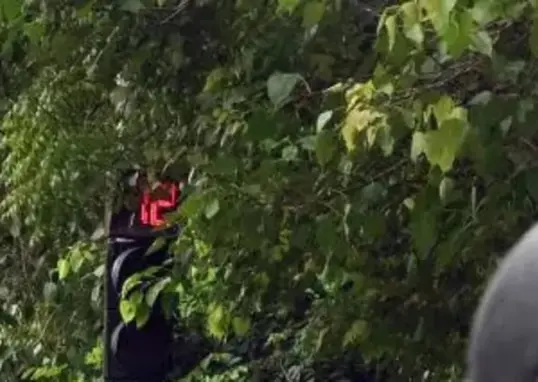 delhi traffic police — IN news