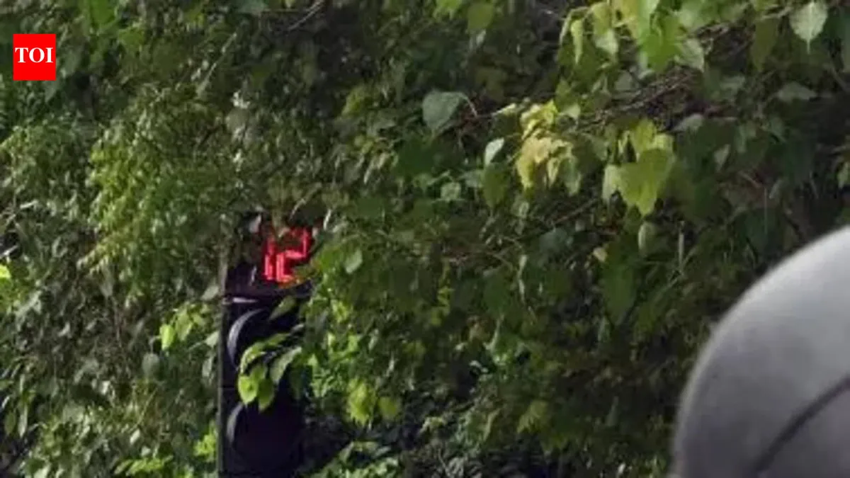 delhi traffic police — IN news