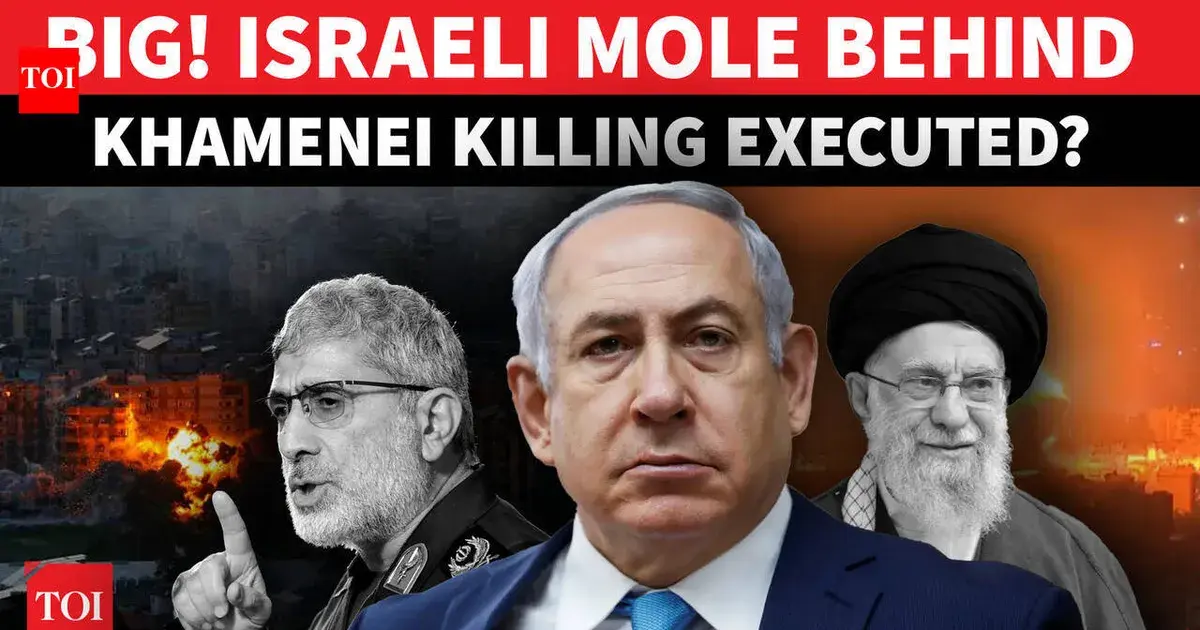 esmail qaani — IN news