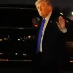 flip fox — IN news