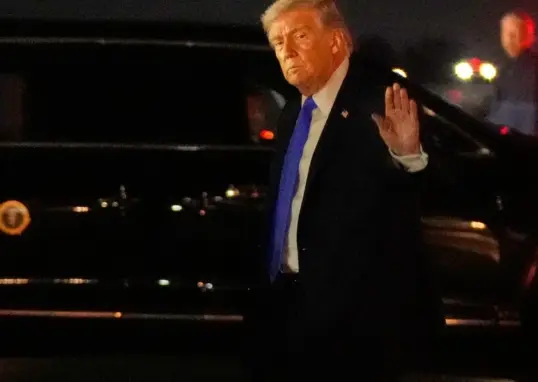 flip fox — IN news