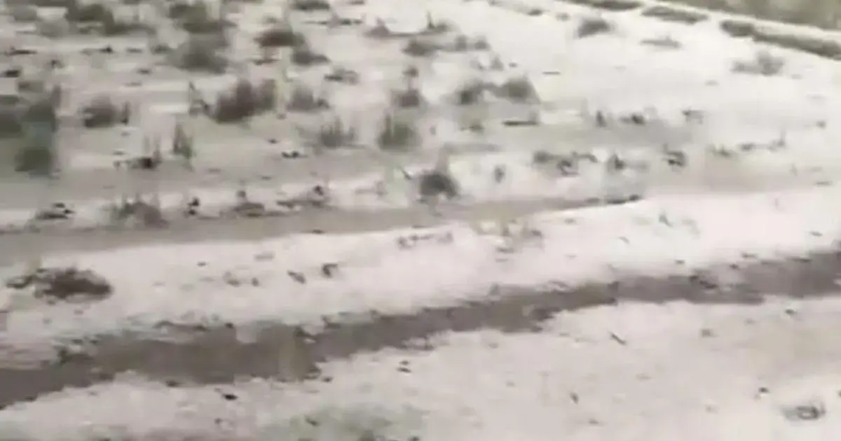 hailstorm — IN news