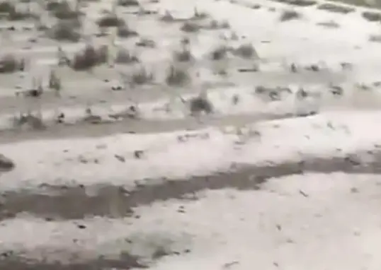 hailstorm — IN news