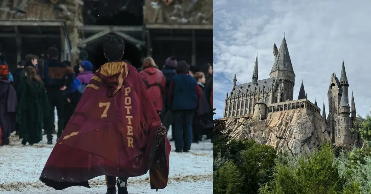 harry potter — IN news