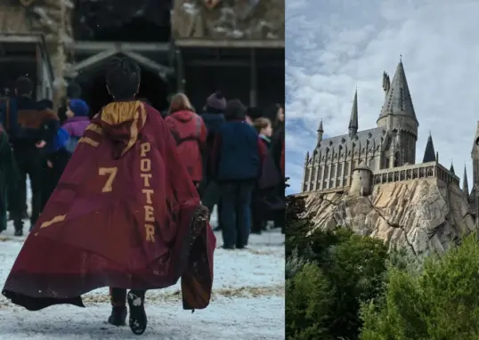 harry potter — IN news