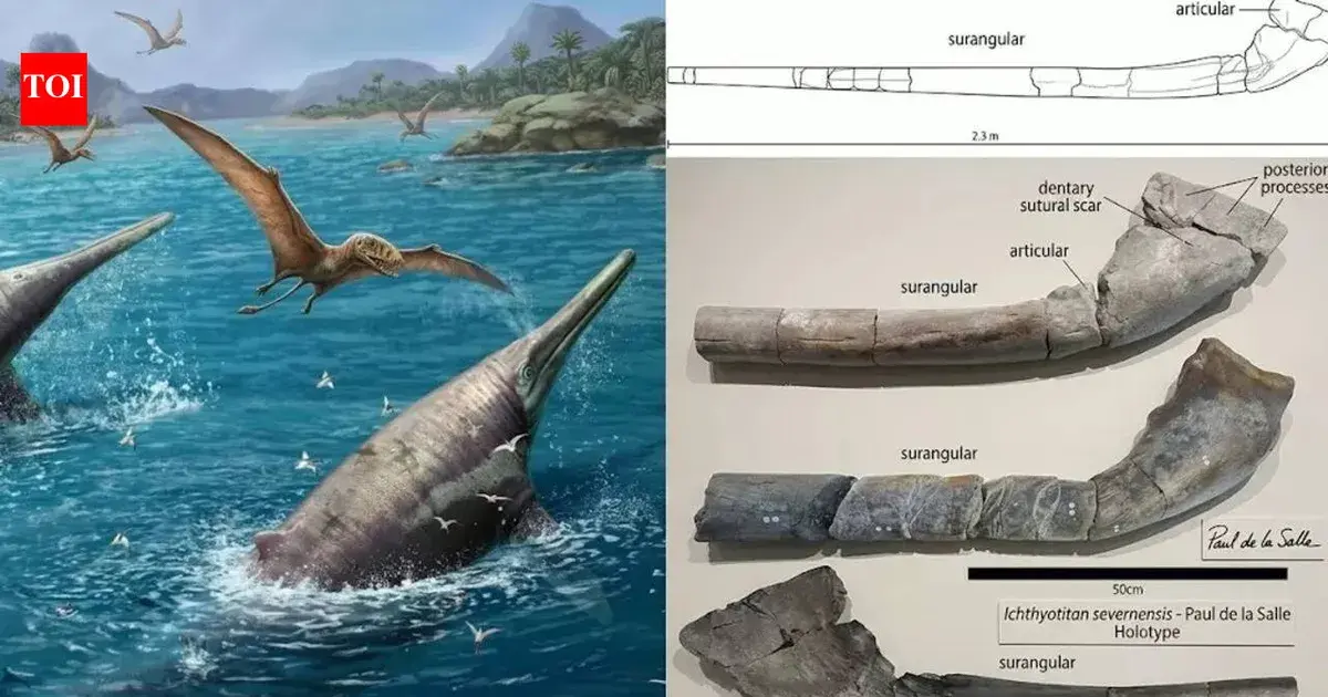 ichthyotitan severnensis discovery — IN news