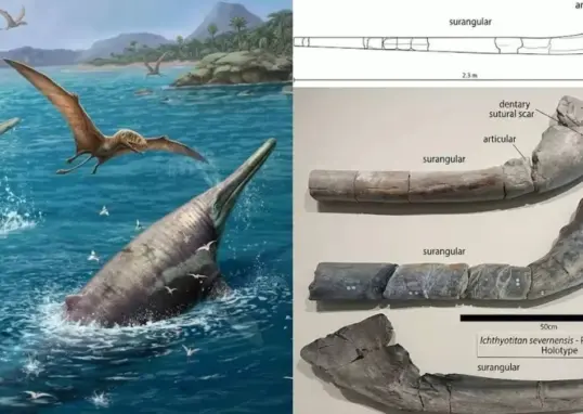 ichthyotitan severnensis discovery — IN news