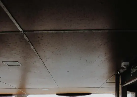 india vs newzealand — IN news