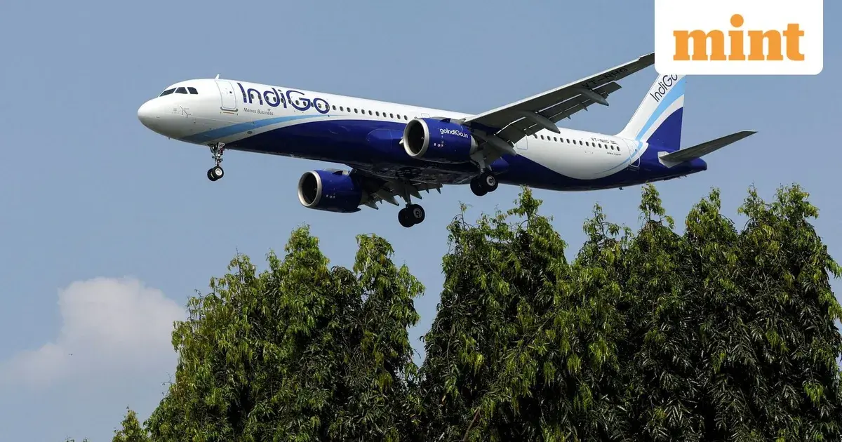 indigo share price — IN news