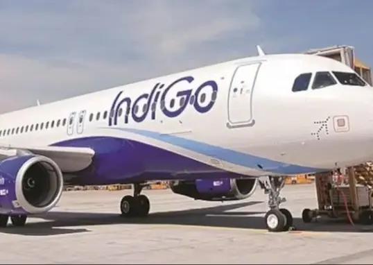 indigo share price — IN news