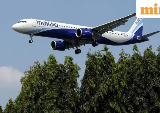 indigo share price — IN news