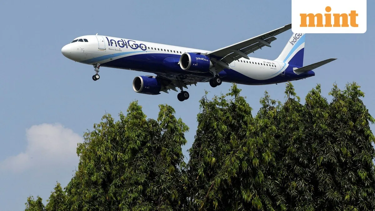 indigo share price — IN news