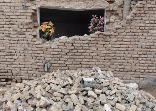 iran earthquake — IN news