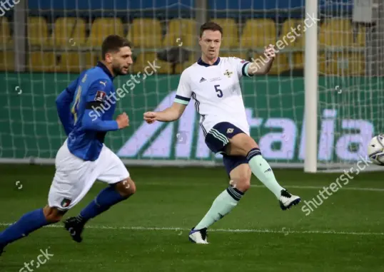 italy vs northern ireland — IN news