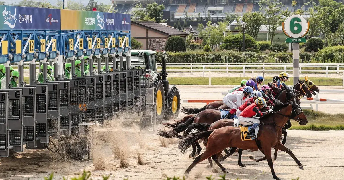 jeju island — IN news