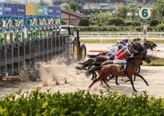 jeju island — IN news