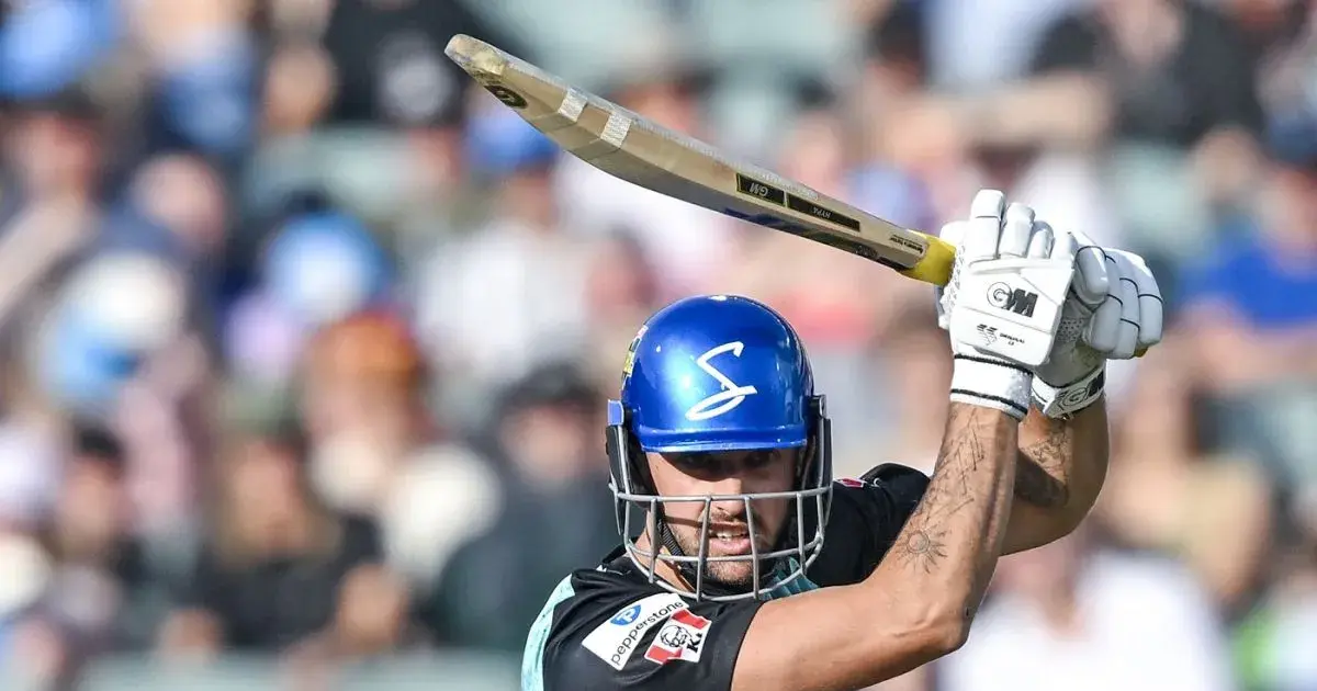 matt short — IN news