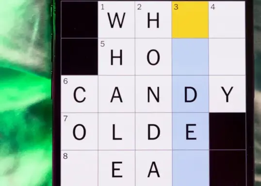 new york time now — IN news