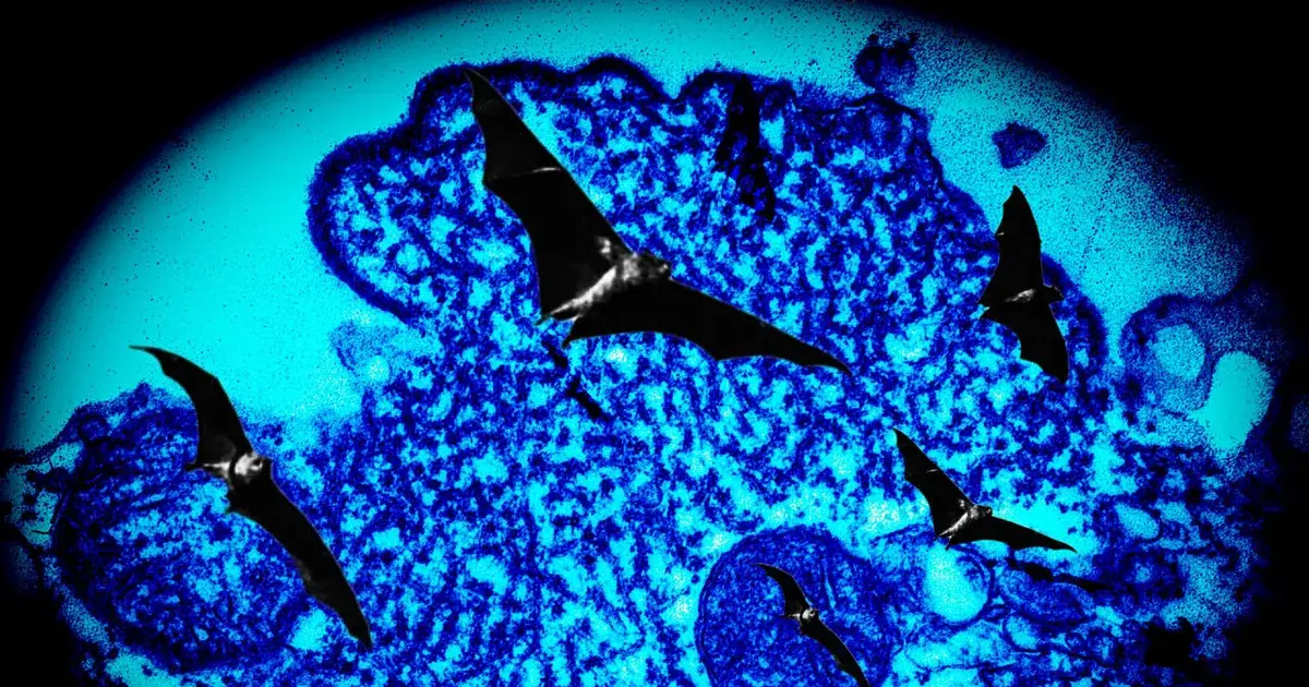 nipah virus — IN news