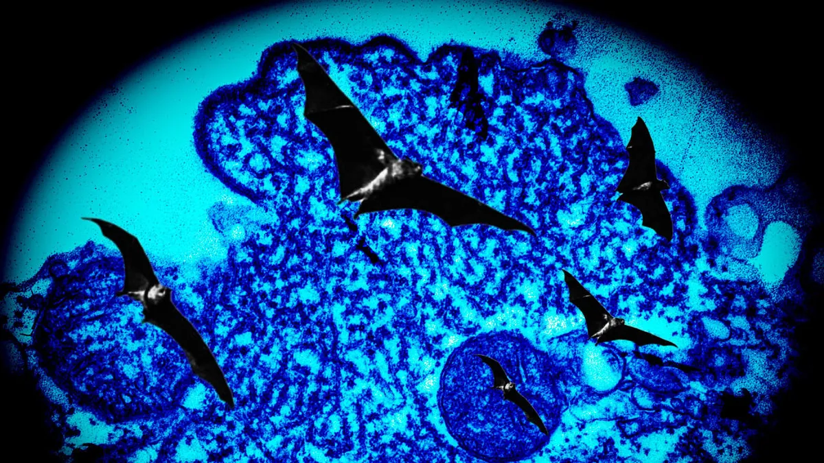 nipah virus — IN news