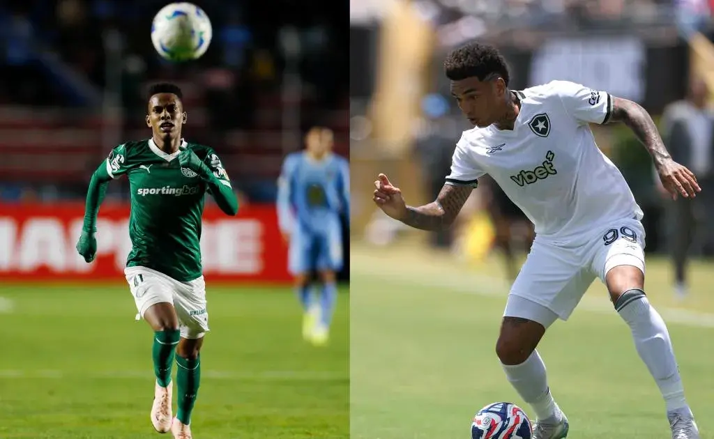 palmeiras vs botafogo — IN news