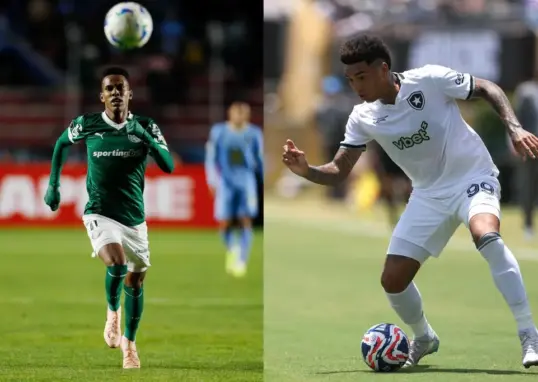 palmeiras vs botafogo — IN news