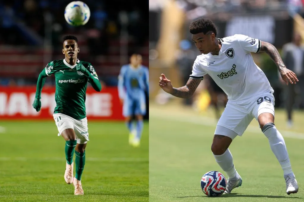 palmeiras vs botafogo — IN news