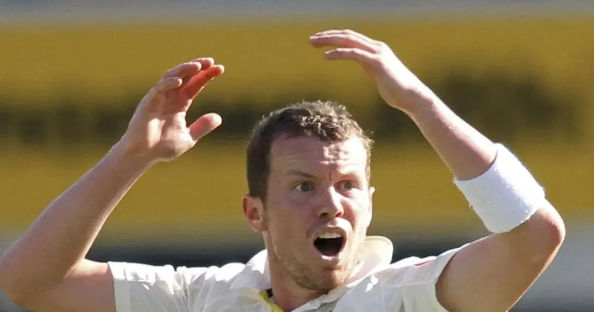 peter siddle — IN news