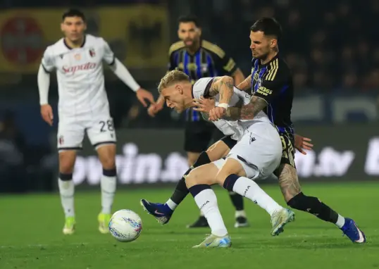 pisa vs bologna — IN news