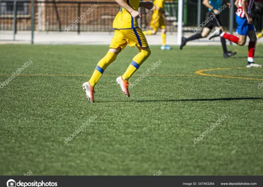 playing match — IN news